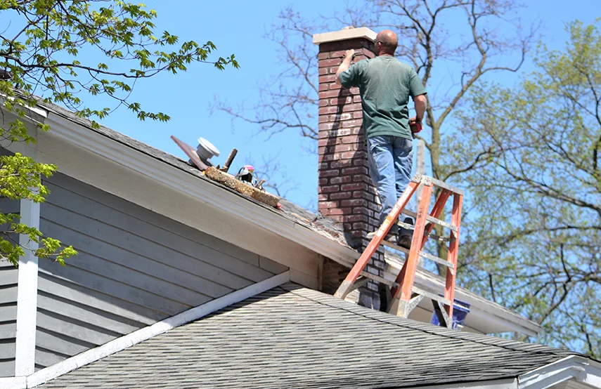 Chimney & Fireplace Inspections Services in Greeneville, TN